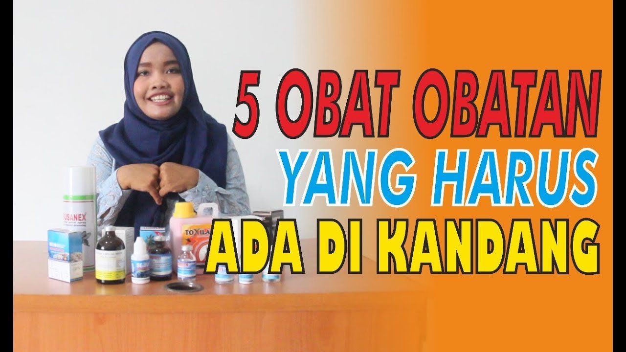 
                                 Obat-Wajib-Kandang-Ternak-Sapi